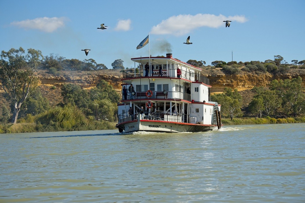 1 day murray river cruise