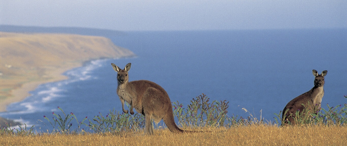 South Australia Attractions