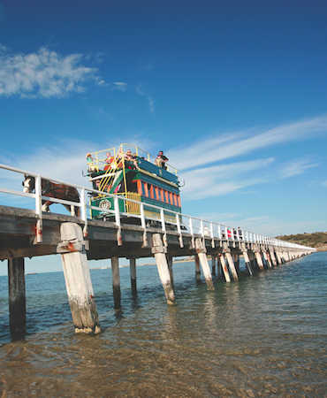 tours from adelaide to victor harbour