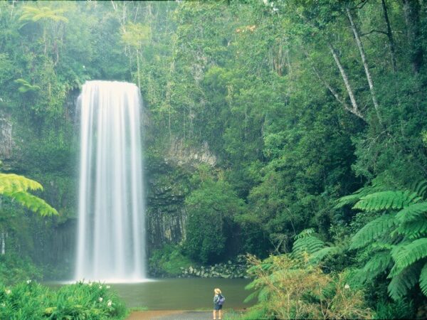 1 Day Atherton Tablelands From Cairns Tour