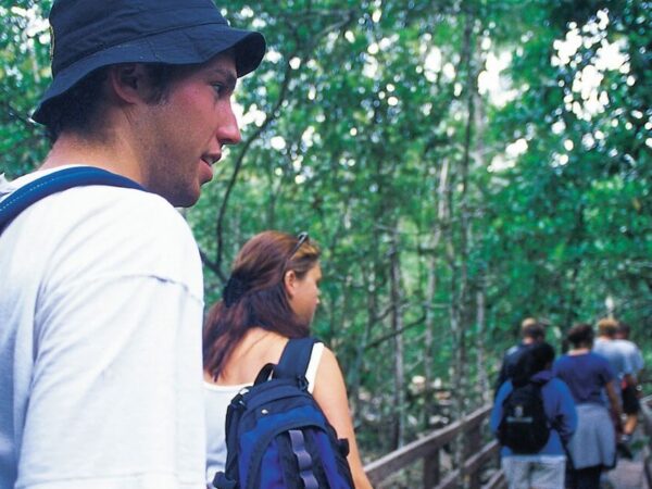 Cape Tribulation & Daintree Rainforest Day Tour