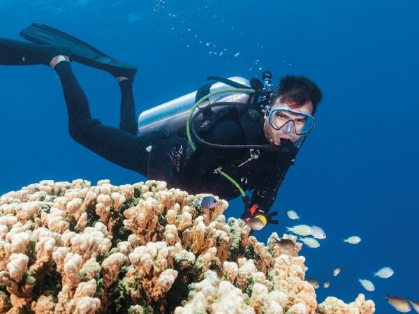 Great Barrier Reef Daytripper Snorkel & Dive Experience