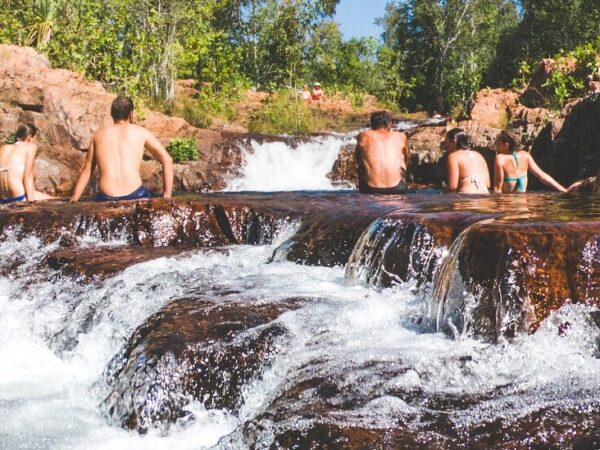 1 Day Litchfield Waterfalls & Wildlife Tour