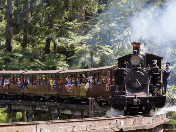 Puffing Billy Railway & Healesville Wildlife Day Tour