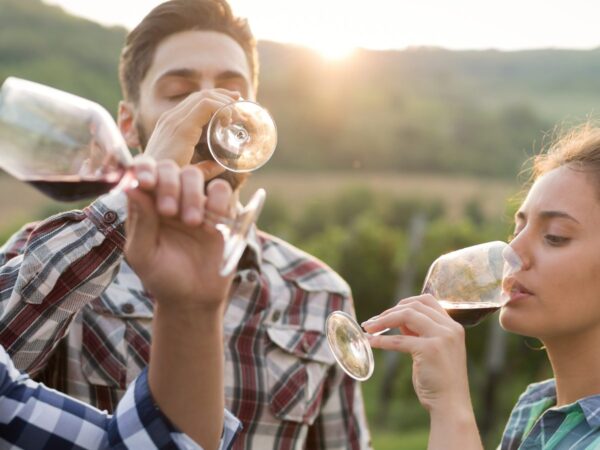 Hunter Valley Food & Wine Experience