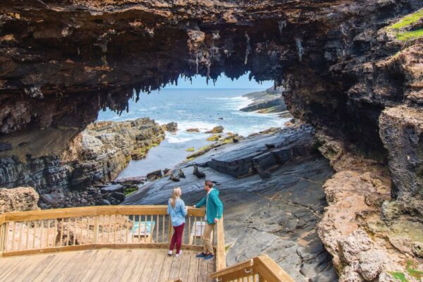 One Day Kangaroo Island Experience Tour