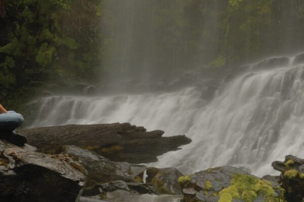Russell Falls Day Tour from Hobart