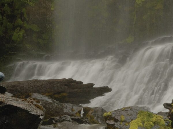 Russell Falls Day Tour from Hobart