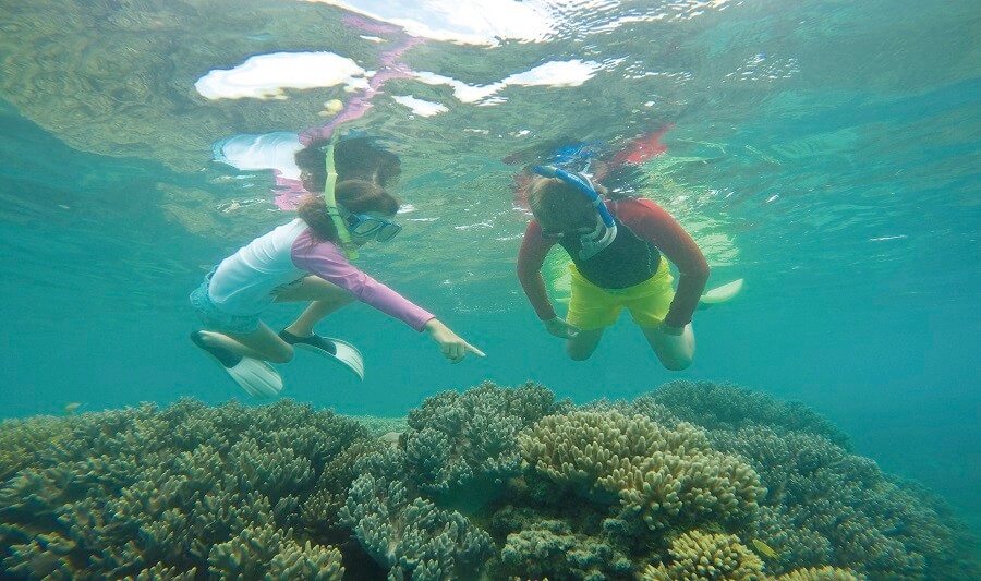 1 Day Reef Magic Cruise Tour $315