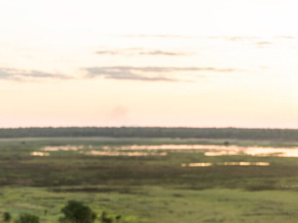 One Day Kakadu Tour from Darwin